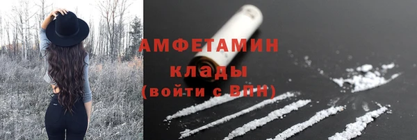 шишки Аркадак