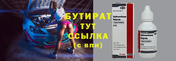 шишки Аркадак