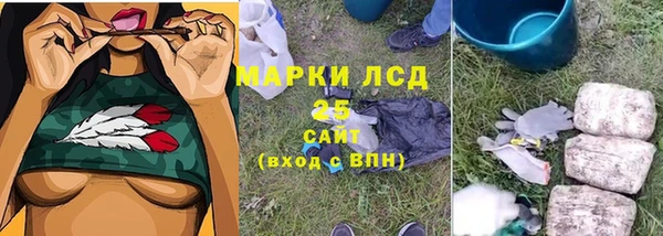 шишки Аркадак