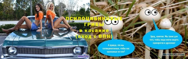 таблы Арсеньев