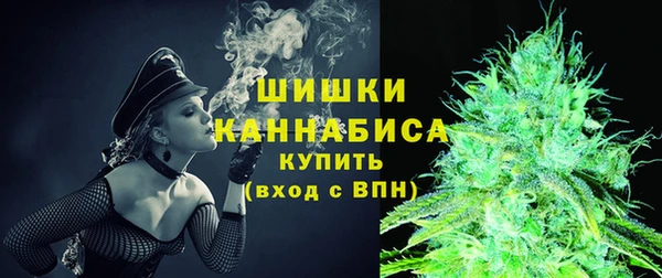 шишки Аркадак