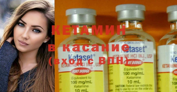 шишки Аркадак
