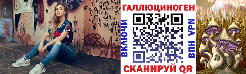 Галлюциногенные грибы Cubensis  omg сайт  Советск 